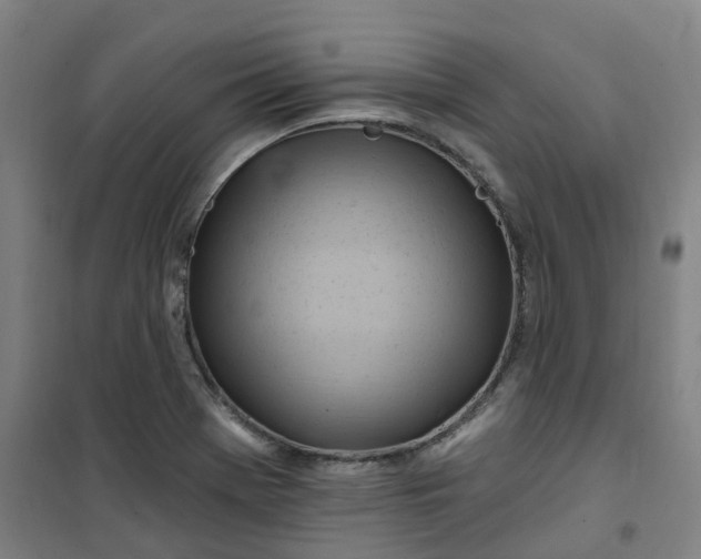 X0000101091369200807101539