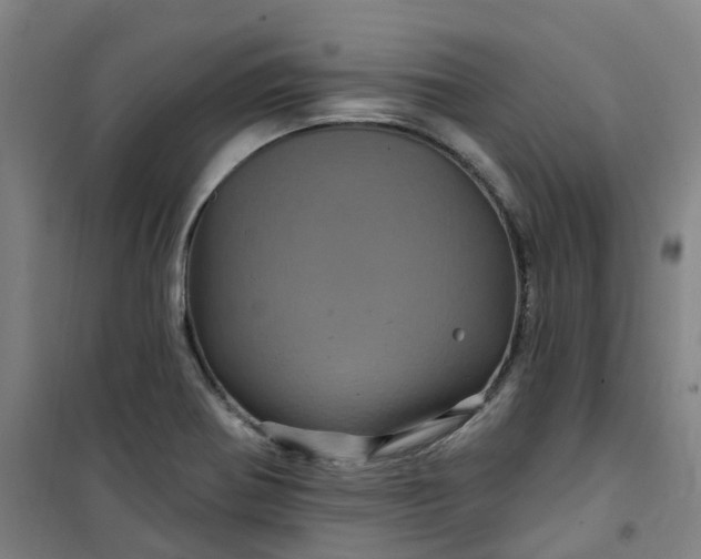 X0000101091370200807101538