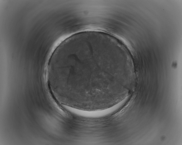 X0000101091371200807101538