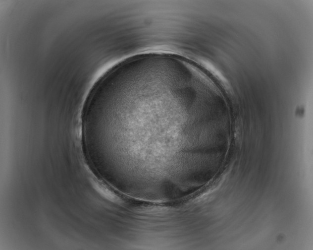 X0000101091372200807101538