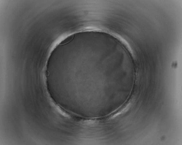 X0000101091373200807101538