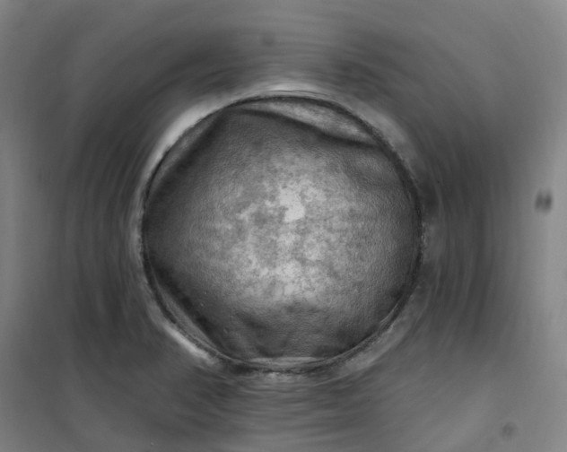 X0000101091374200807101538