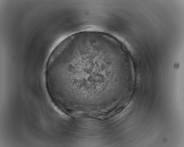 X0000101091375200807101538