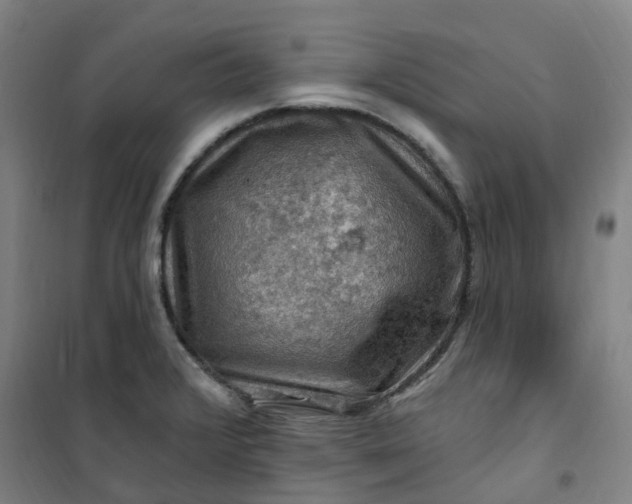 X0000101091376200807101538