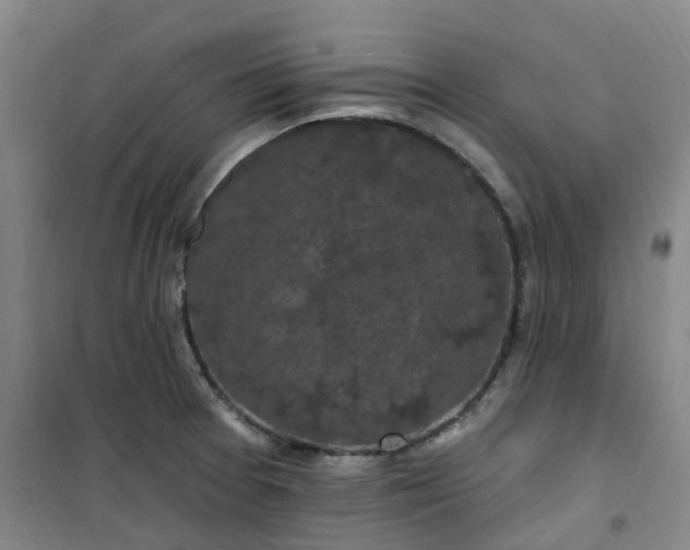 X0000101091377200807101538