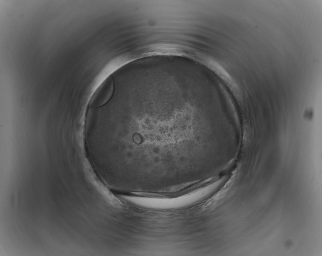 X0000101091378200807101538