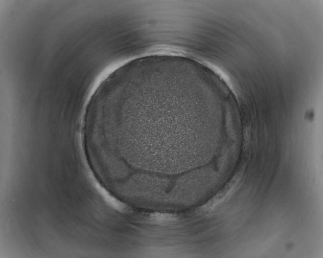 X0000101091379200807101538