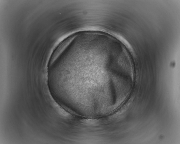 X0000101091380200807101538