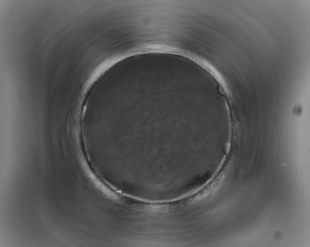 X0000101091381200807101538