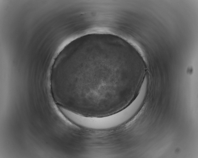 X0000101091382200807101538