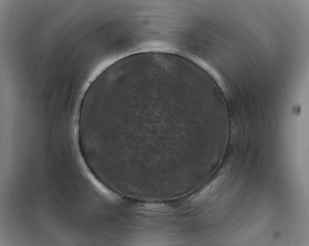 X0000101091383200807101538