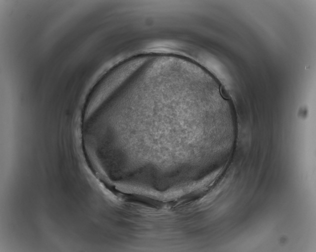 X0000101091384200807101538