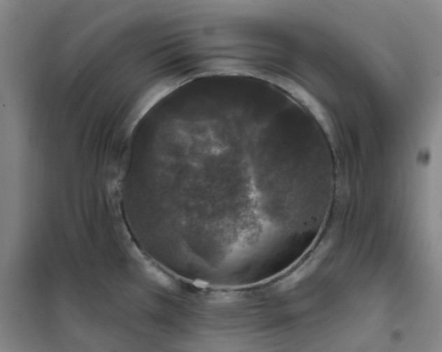 X0000101091385200807101538