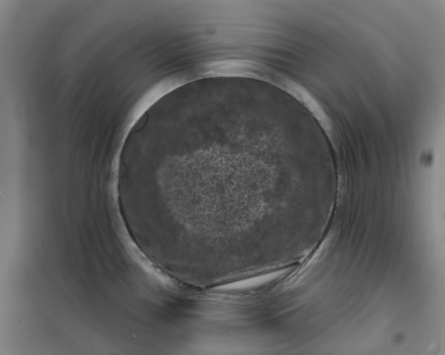 X0000101091386200807101538