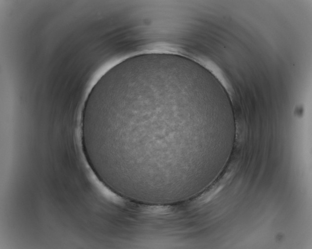 X0000101091387200807101538