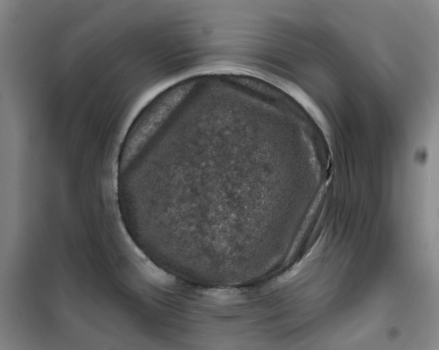 X0000101091388200807101538