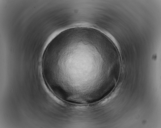 X0000101091389200807101538