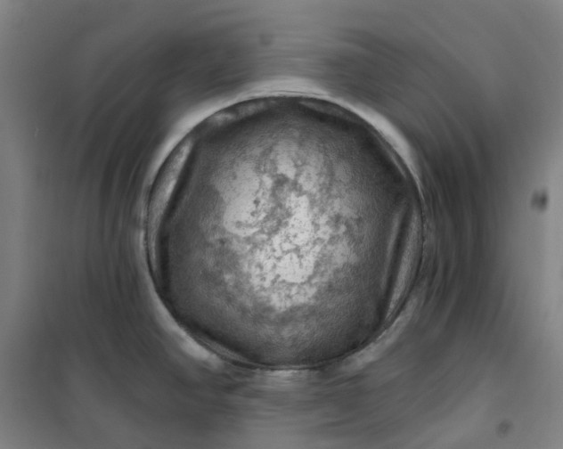 X0000101091390200807101538