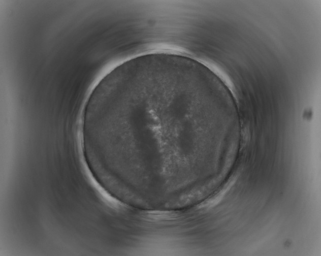 X0000101091391200807101538