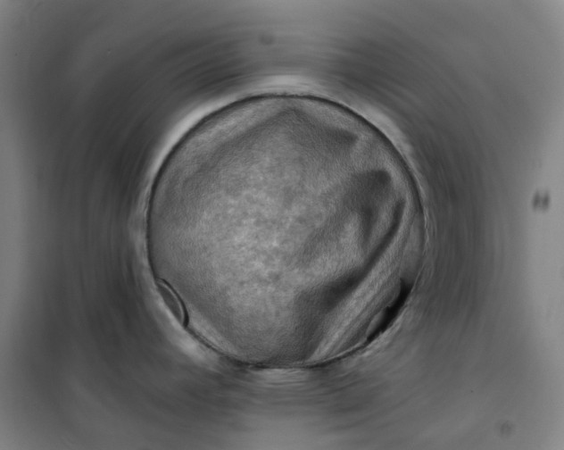 X0000101091392200807101538