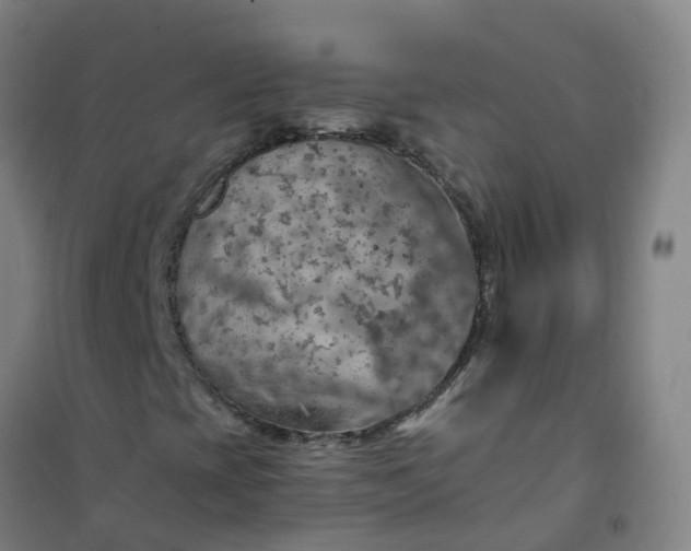 X0000101091393200807101537