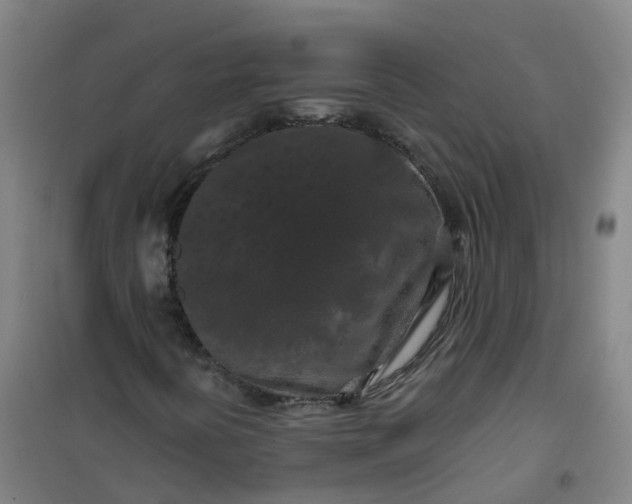 X0000101091394200807101537