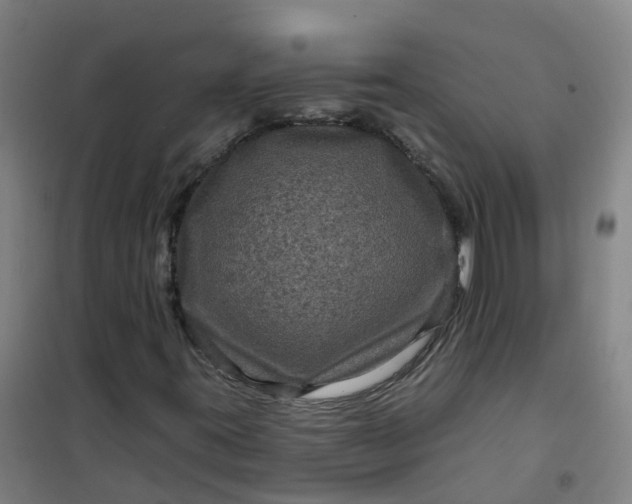 X0000101091395200807101537