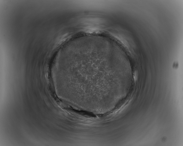 X0000101091396200807101537