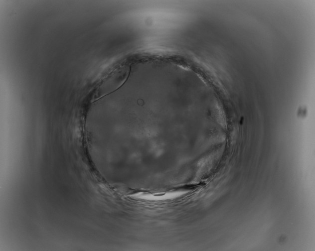 X0000101091397200807101538