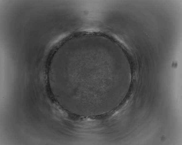 X0000101091398200807101538