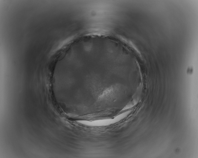 X0000101091399200807101538