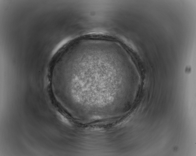 X0000101091400200807101538