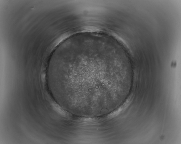 X0000101091401200807101538