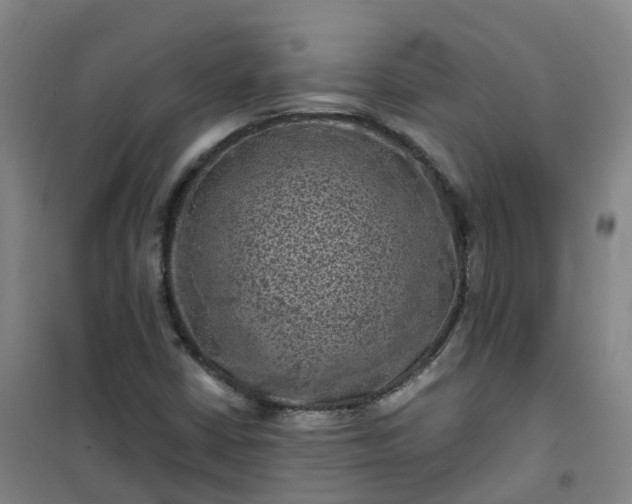 X0000101091402200807101538