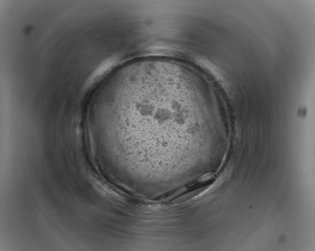 X0000101091403200807101538