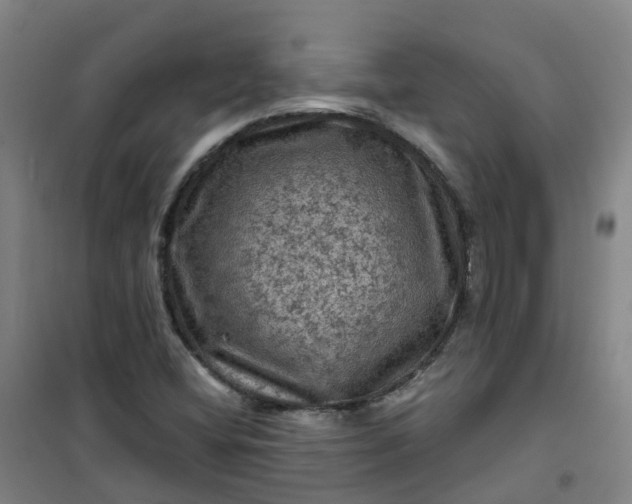 X0000101091404200807101538