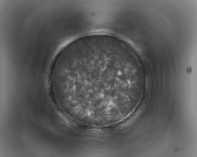 X0000101091405200807101538