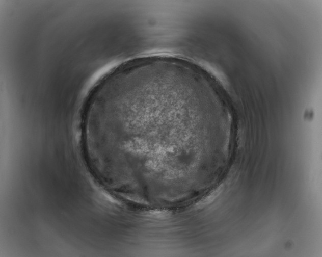 X0000101091406200807101538