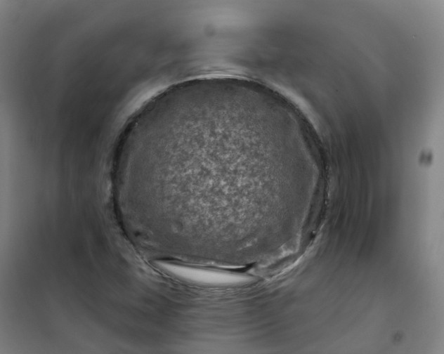 X0000101091407200807101538