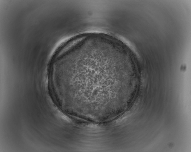 X0000101091408200807101538