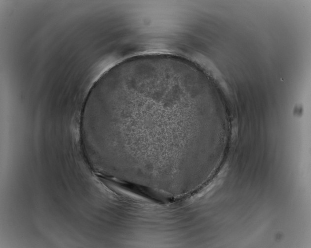 X0000101091409200807101538