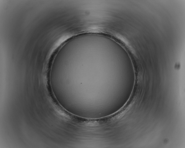 X0000101091410200807101538