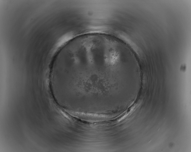 X0000101091411200807101538