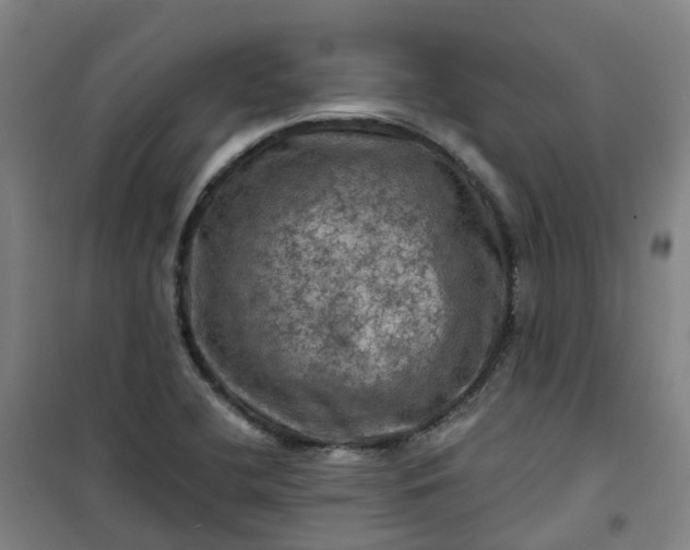 X0000101091412200807101538