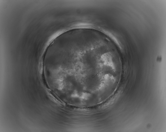 X0000101091413200807101538