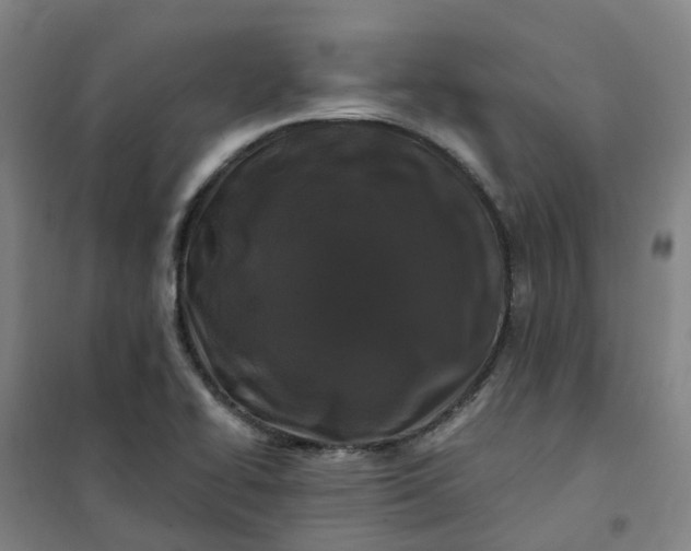 X0000101091414200807101538