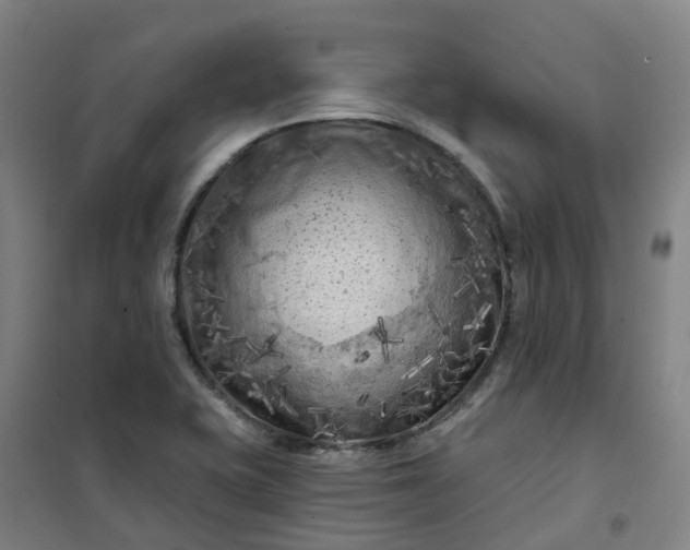 X0000101091415200807101538