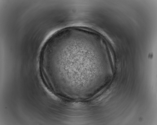 X0000101091416200807101538