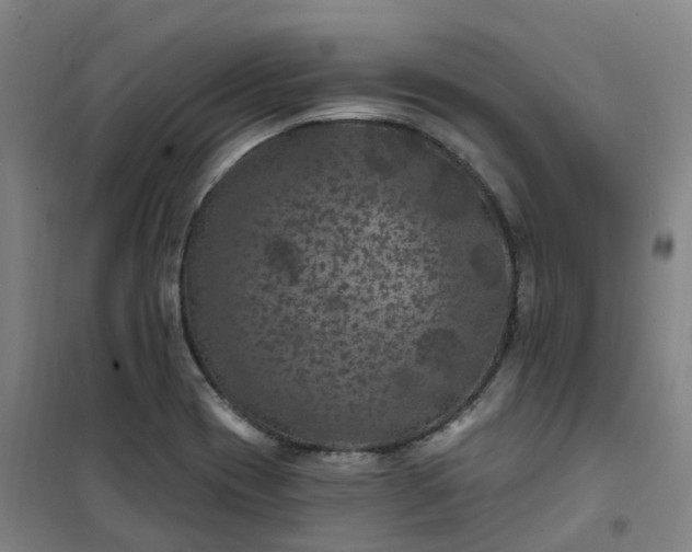 X0000101091417200807101538