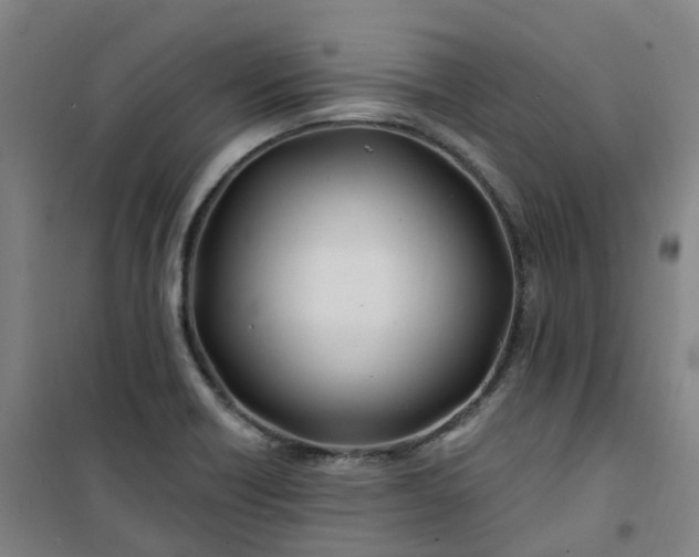 X0000101091418200807101538